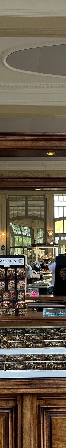 Grottes de Betharram-圣佩德比戈尔