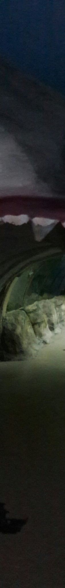 Deniz Dunyasi-安卡拉