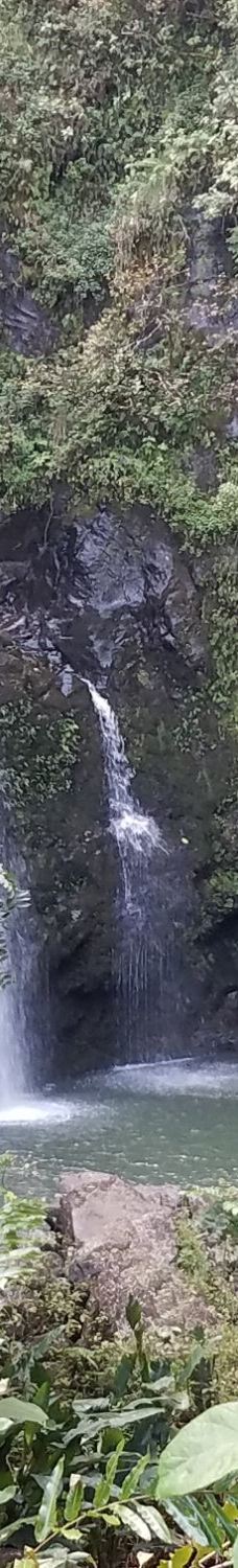 Upper Waikani Falls-茂宜县