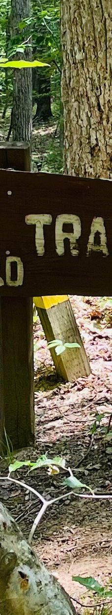 Hard Labor Creek State Park-摩根县