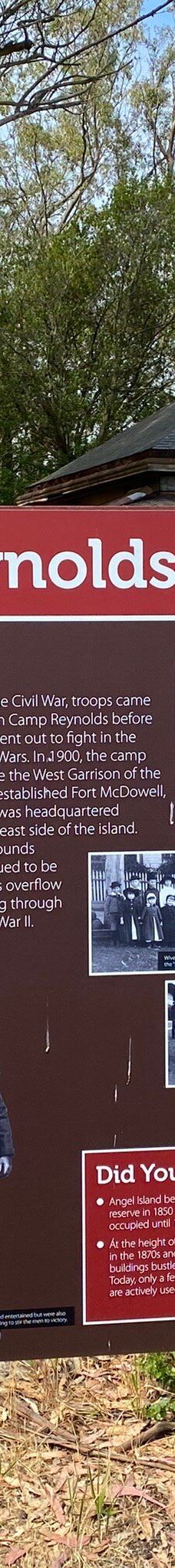 安琪儿岛-蒂伯龙