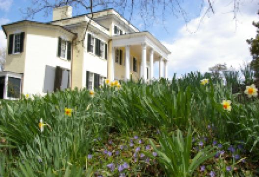 Oatlands Historic House & Gardens景点图片