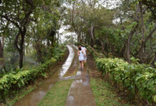 Botanical Garden景点图片