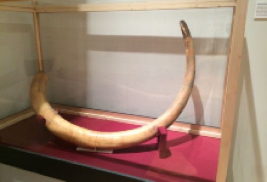 Inupiat Heritage Center景点图片