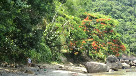 Praia das Galhetas Beach