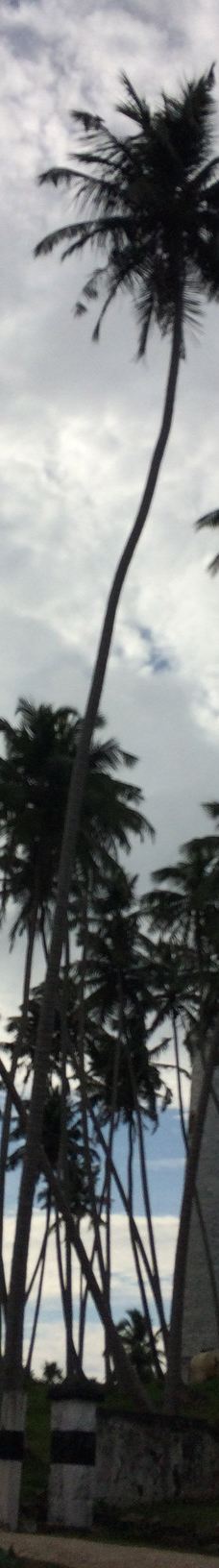 Barberyn Island Lighthouse-贝鲁沃勒