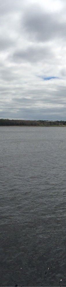 Ritchie Wharf-米罗米奇