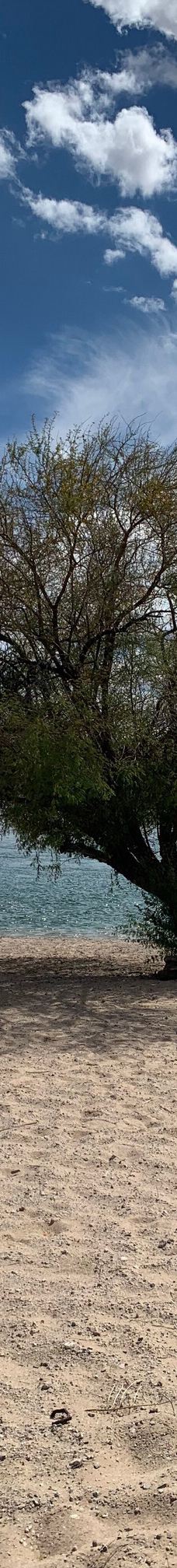 Big Bend of the Colorado-拉芙琳