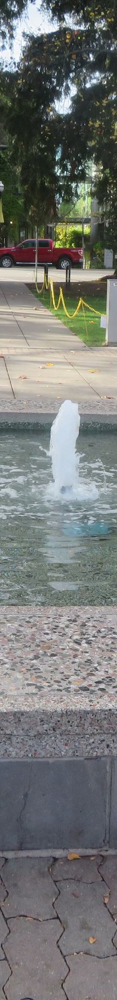 Healdsburg Plaza-希尔兹堡