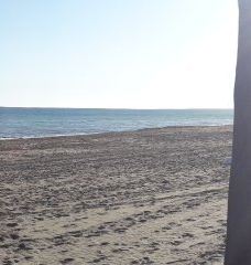 Paseo Maritimo de Estepona-埃斯特波纳