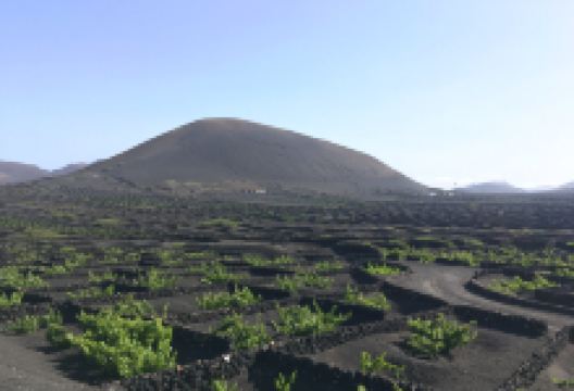 Senderismo Lanzarote景点图片
