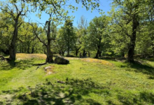 Kummelon景点图片