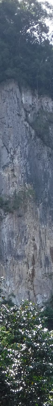 Mulu Skywalk-马鲁迪