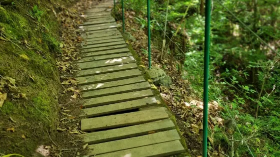 Barranco de la Virgen