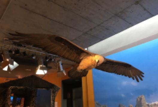 Centro de Interpretacion 'Las Montanas del Quebrantahuesos'景点图片