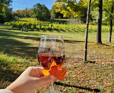 Clearview Vineyard