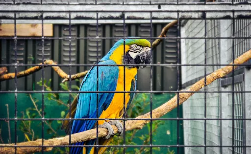 Secret Valley Wildlife Park