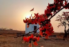 Tulsi Sarovar景点图片