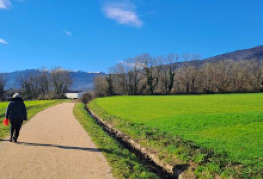 Green way (footpath & cycle path)景点图片