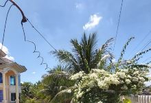 Quezon Isabela景点图片