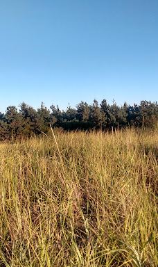 Seafarer's Park-沃伦顿