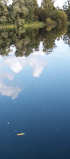 Kleiner Plöner See-普伦