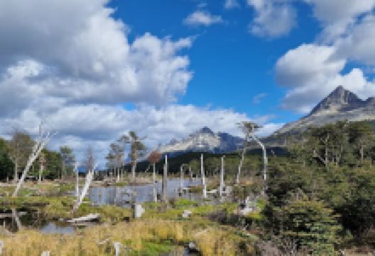福斯特港景点图片