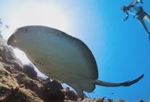 Manta station景点图片