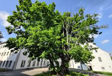Katholische Pfarrgemeinde Sankt Johannes der Täufer Freiberg/Sachsen景点图片