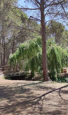 Grajera Park-洛格罗尼奥