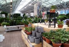Plantasjen购物图片
