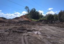 Recreation Park Marup景点图片