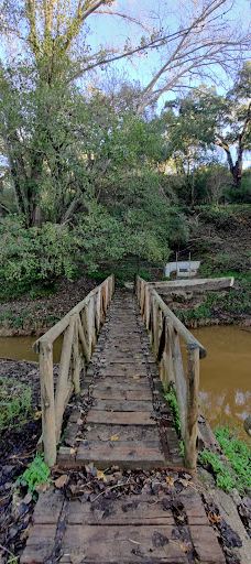 El Pinar del Rey-圣罗克