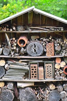 卧龙岗植物园-Keiraville