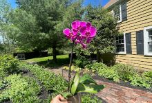 Maple Lawn Farmers Market & Garden Center购物图片