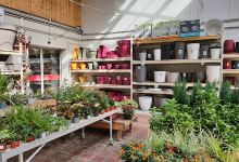 Delbard, Les Jardins de Figeac购物图片