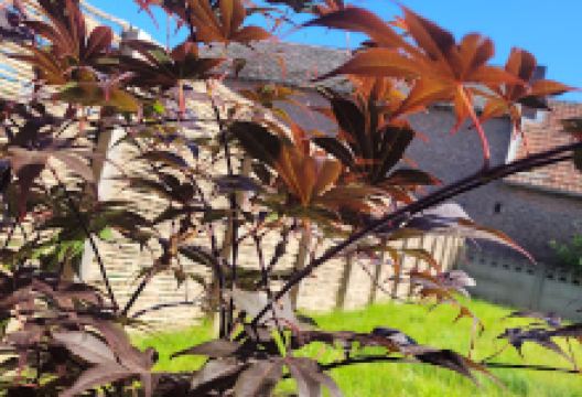 Tuincentrum 't Bloemenhofke购物图片