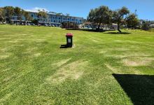 Albert Bamman Memorial Park景点图片