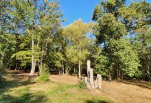 Danemead Scout Campsite景点图片