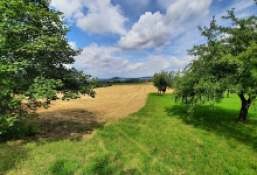 Campingplatz Bergwiese景点图片