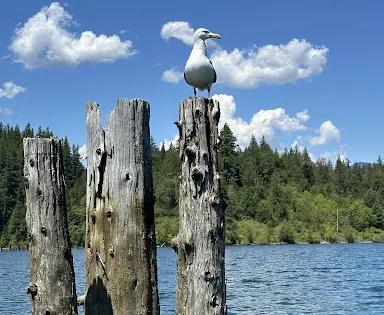Hayward Lake Reservoir