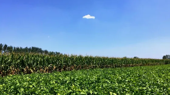 宋運河碼頭遺址