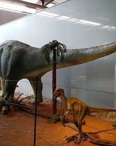 Musee des Dinosaures 'Dinosauria'-埃斯佩拉扎