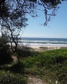 Tweed Holiday Parks Pottsville South-堤维德岬