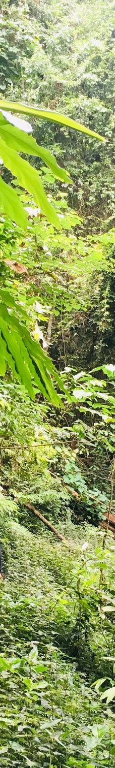 素贴山国家公园-清迈