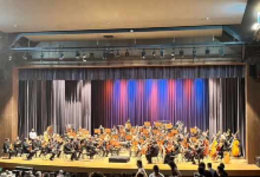 Municipal Theater José de Castro Mendes景点图片