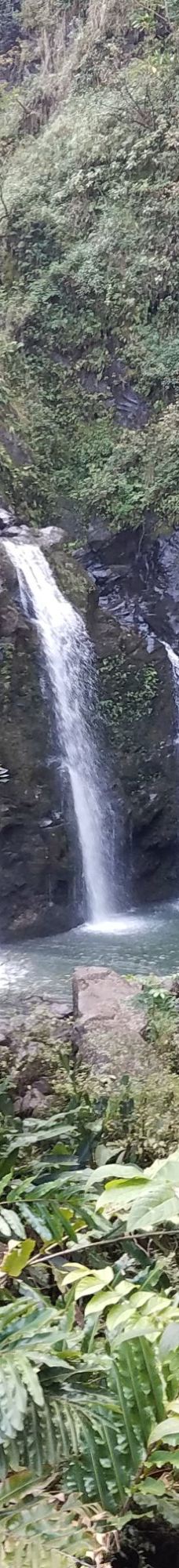 Upper Waikani Falls-茂宜县