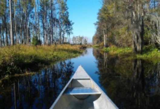 Stephen C Foster State Park景点图片