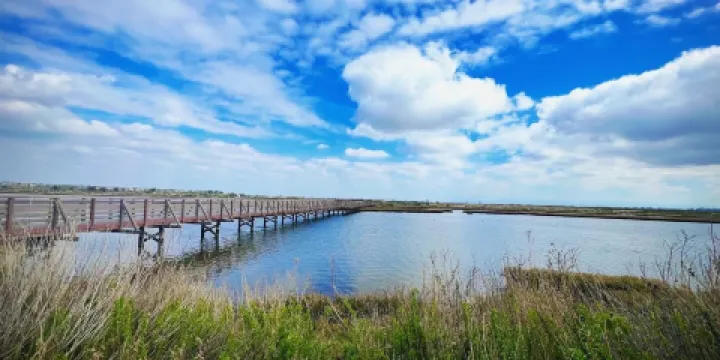 博爾薩奇卡生態保護區