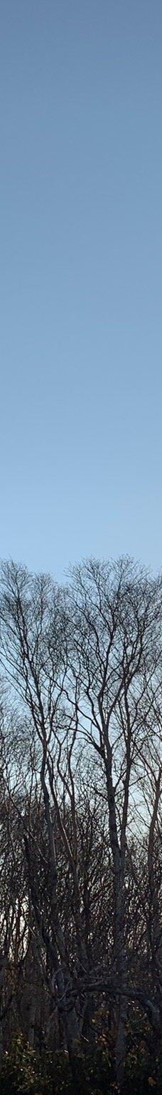 雪中行軍遭難記念像-青森